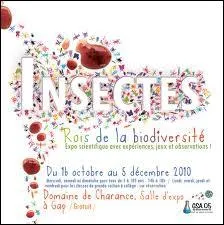 Je m'intresse spcialement aux insectes : je suis