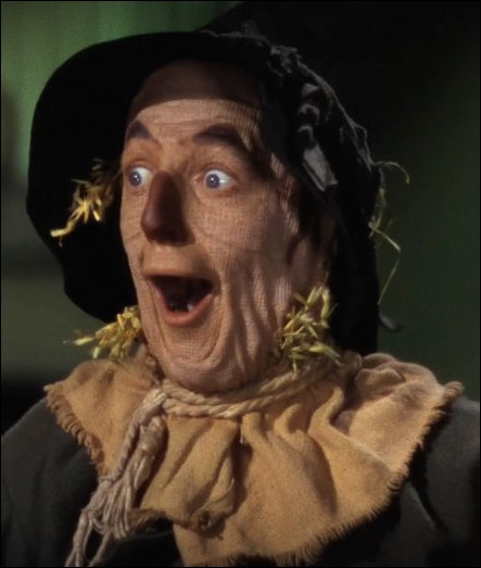 Dans 'Le Magicien d'Oz' de 1939, quel est le problème de l'épouvantail ?