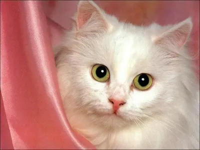 Quand tu n'te sens plus...