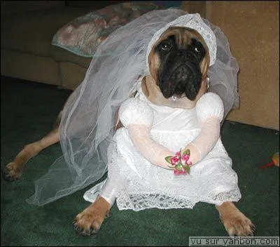 Et que tu deviens...