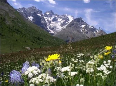 Dessinent sur ton corps, des...