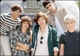 Qui ne fait pas partie des 'One Direction' ?