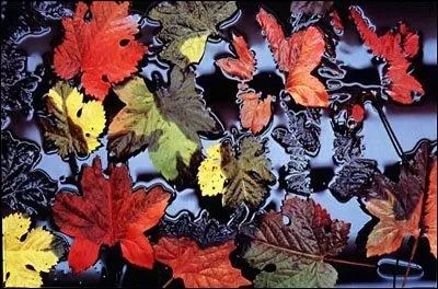 Comment la campagne de 1991 veut-elle éveiller notre conscience ?