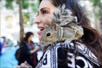 D'accord, il aime les fruits secs, mais comment se nomme-t-il ?