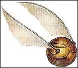 Quel est cet objet que Harry reoit en hritage de Dumbledore ?