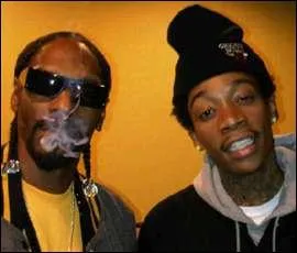 Avec qui Snoop Dogg a-t-il fait un film en 2011 ?