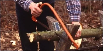 Trouvez le bon homonyme pour "outil pour couper du bois ou du métal" ?