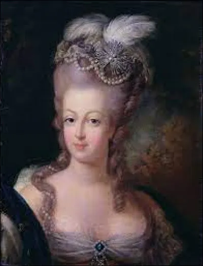 Quel personnage proche de Marie-Antoinette a minutieusement organisé la fuite de la famille royale du palais dans lequel ils étaient consignés ?