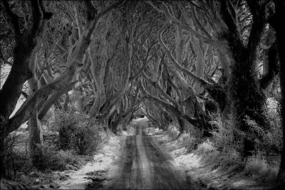 Fort mythique, qui abrita Merlin, Morgane et Viviane !