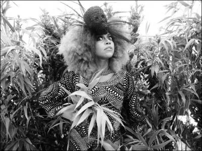 Cette musicienne autodidacte londonienne a t la camarade de Amy Winehouse. Qui est-ce ?