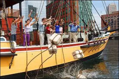 Quelle marchandise lourdement taxée les insurgés jettent-ils à l'eau ?