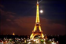 A tout seigneur tout honneur, la Tour Eiffel se trouve dans le :