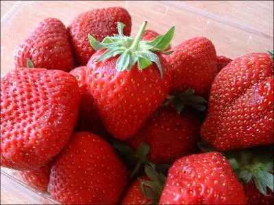 En 1957, qui a ralis le film 'Les fraises sauvages' ?