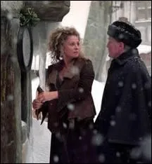 O travaille Rosmerta ?