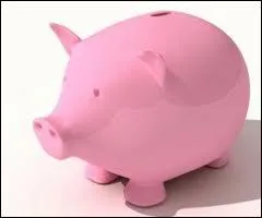 Quelle star se nomme Monsieur Subvention ?