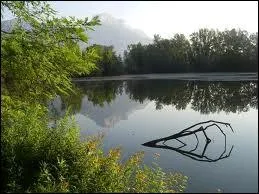 Quel acteur chanteur est Monsieur Bois du lac ?