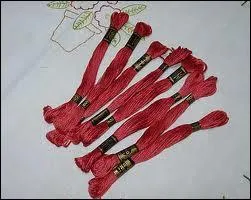 Si je vous parle de la superstar Thomas Echeveaux ?