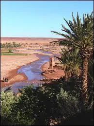 Quelle star est Monsieur Gu rouge ?