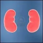 Nous servons  filtrer , nous sommes deux :