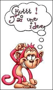 Je pense donc je suis :