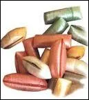 Nous sommes des forestines donc :