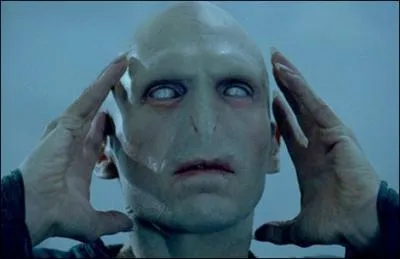 Quel acteur joue le rle de Voldemort ?