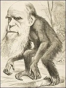 Qui est caricatur avec un corps de singe sur cette image ?