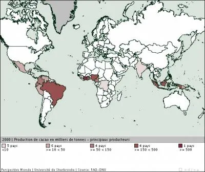 Lequel de ces pays est le plus gros producteur mondial de cacao ?