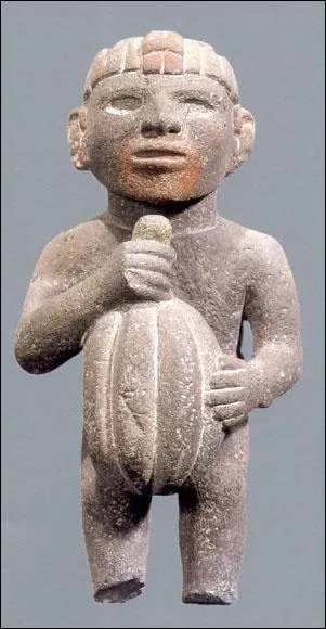 De quelle rgion est originaire le cacao ?