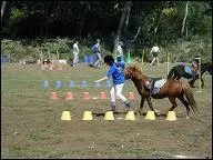 Quelle est cette discipline ?