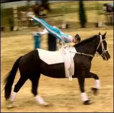 Quelle est cette discipline ?