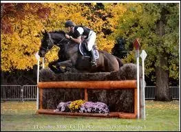 Quelle est cette discipline ?