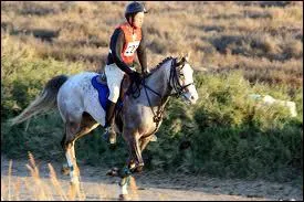 Quelle est cette discipline ?