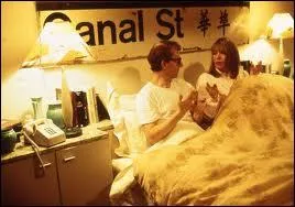 Dans cette hilarante comdie de Woody Allen ici avec Diane Keaton qui joue son pouse dans le film, qui interprte l'crivain que suit Woody l'diteur et qui va donner un srieux coup de main ?