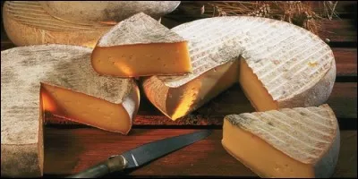 Lequel de ces fromages a une forme ronde ?
