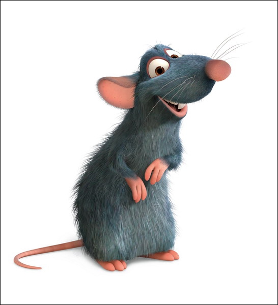 Comment s'appelle le rat principal du film ?