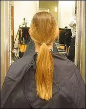 'La queue de cheval' est un groupe de racines de nerfs situes dans ...