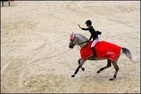 Elle a une jument ... ... .