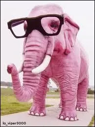 Quel est ce drle d'animal ?