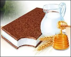 Quel est ce kinder ?