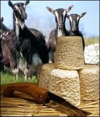 Quel crivain du XVI me sicle aurait dj sacr  son poque le ' Chabichou ' meilleur fromage de France ?