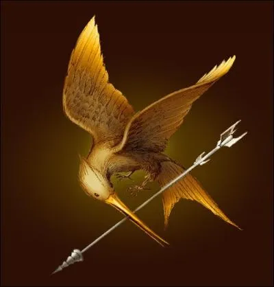 Quel jour est sorti ce 1er tome ? (en France)