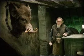 Quel est cet endroit ?