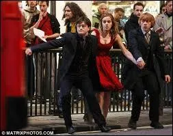 O Hermione les a-t-elle fait transplaner ?