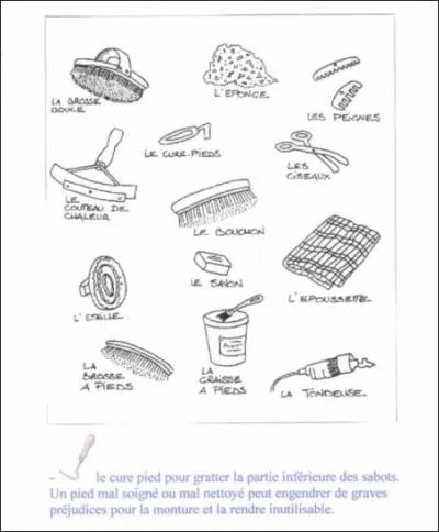 Que veut dire le pansage ?