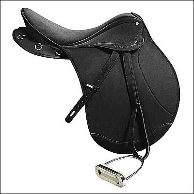 Quelle est la partie de la selle o on pose son pied ?