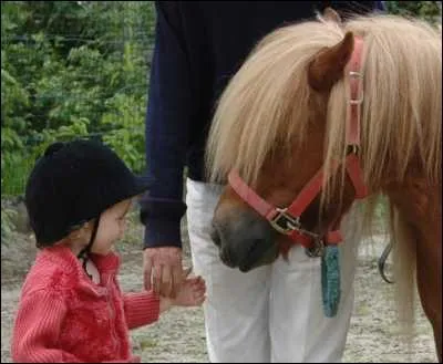 Le CDE veut-il dire 'Club pour dbutant en quitation ' ?