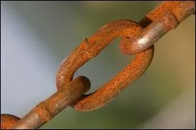 Que dois-je accompagner ?