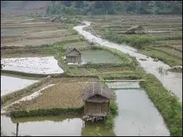 Qui a perdu la bataille de Din Bin Ph ?