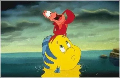 Comment s'appelle le crabe ?